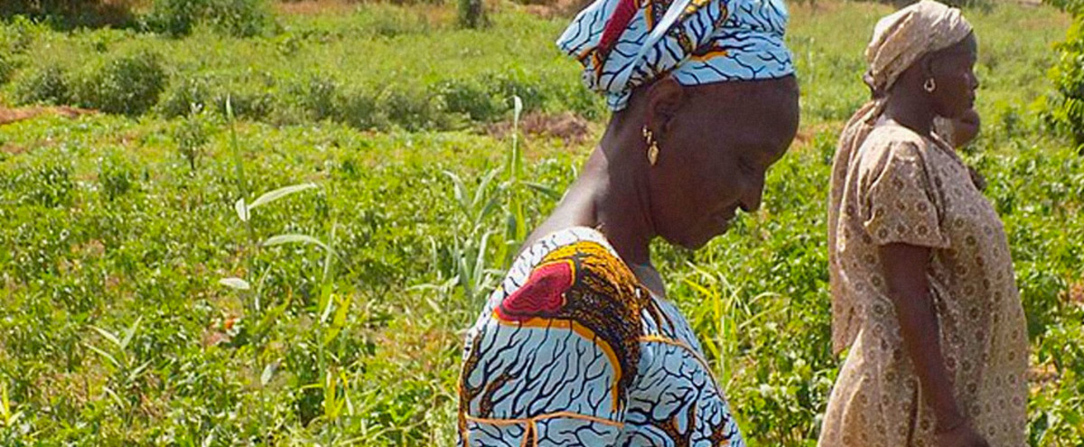 Campaign To Link Rural Women to Sustainable Projects